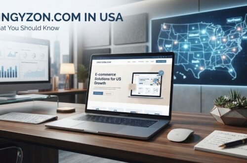 Zingyzon.com in USA
