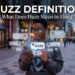 Huzz Definition